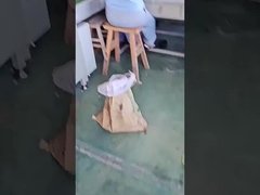 Healthy abdominal wheel, abdominal muscle trainer, two wheel elbow support roller fitness device, au